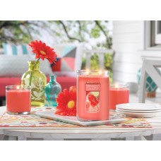 Yankee Candle Large 2-Wick Tumbler Scented Candle, Strawberry Lemon Ice   565656966